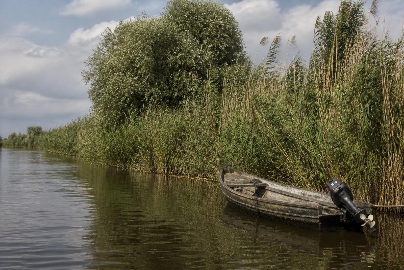 Peisaj din zona Delta Dunării